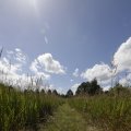 IMG_1361394
