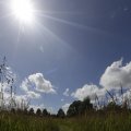 IMG_1361395
