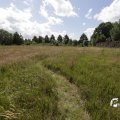 IMG_1361402