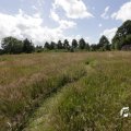 IMG_1361403