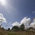IMG_1361404