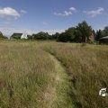 IMG_1361422