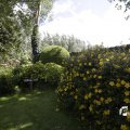 IMG_1361462