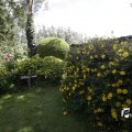 IMG_1361463