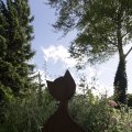 IMG_1361468