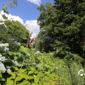 IMG_1361471