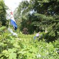 IMG_1361473