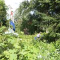 IMG_1361474