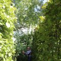 IMG_1361480