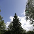 IMG_1361495