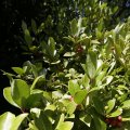 IMG_1361502
