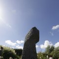 IMG_1361835