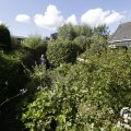 IMG_1361841