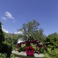 IMG_1361853