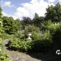 IMG_1361856