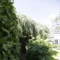 IMG_1361867