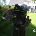 IMG_1361879