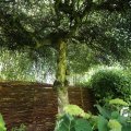 IMG_1361889