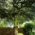 IMG_1361890