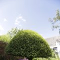 IMG_1361894