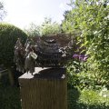 IMG_1361902