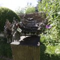 IMG_1361903