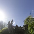 IMG_1361905