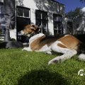 IMG_1361914