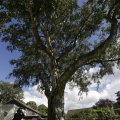 IMG_1361931