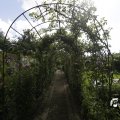 IMG_1361956