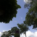 IMG_1361968