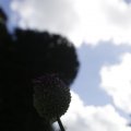 IMG_1361972
