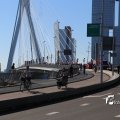 IMG_1366196