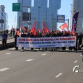 IMG_1366245