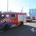 IMG_1366313