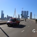 IMG_1366321