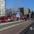 IMG_1366339