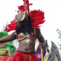 IMG_1371325