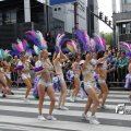 IMG_1372226