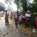 IMG_1374196