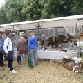 IMG_1374222
