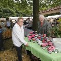 IMG_1374273