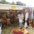 IMG_1374335