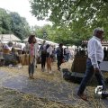 IMG_1374467