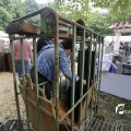 IMG_1374468