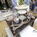 IMG_1374509