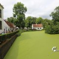 IMG_1374533