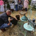 IMG_1374551