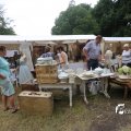 IMG_1374560