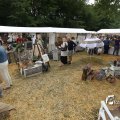 IMG_1374566